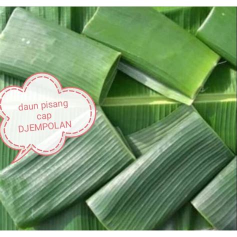 Jual Daun Pisang Segar Petik Kebun Untuk Bungkus Nasi Jajan Kue Makanan