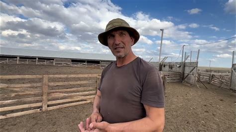 Посетили хозяйство Ерагый Исаевича Волгоград-Эдильбай 🐏🐏🐏🐑🐑🐑 - YouTube