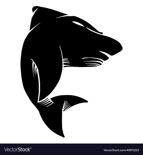 Shark detailed tattoo silhouette Royalty Free Vector Image