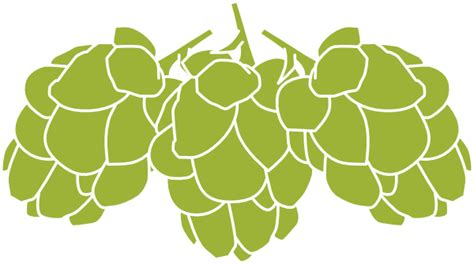 Hops Clip Art At Vector Clip Art Online Royalty Free