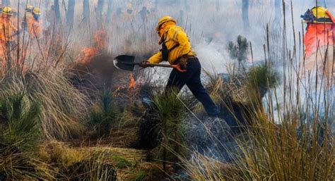 Es la capital líder en incendios forestales en el país