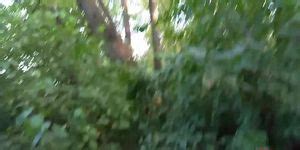 Public Park Flashing And Masturbation Pussy Licking And Orgasm Tnaflix