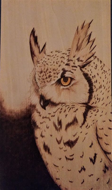 Practice Pyrography Owl By Powerowl On Deviantart Pyrography