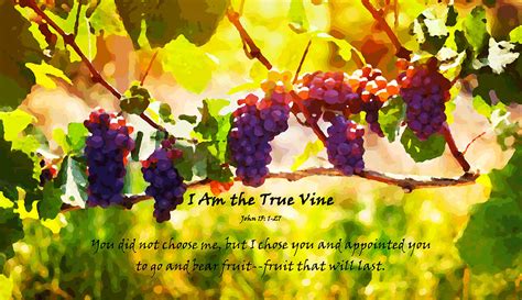 I Am The True Vine Digital Art By Alexis Moreno Plariza Pixels