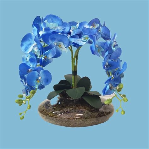 Arranjo Flores 4 Orquídeas Artificial Azul e Vaso Elo7