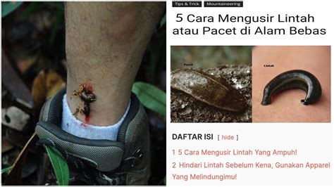 Hewan Pacet Homecare24