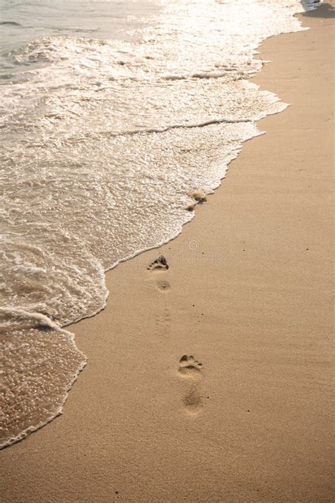 Empreinte De Pas Sur Le Sable De Plage De Mer Image Stock Image Du