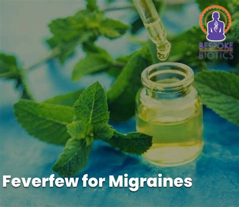 Say goodbye to migraines: how feverfew can help prevent and treat chro ...