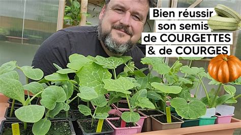 Comment réussir son semis de COURGES de COURGETTESTUTO YouTube