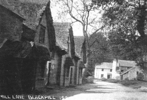 Mill Lane Photograph Of Three Cottages And Mill The Story Of Mumbles