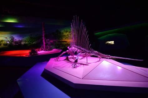 Museo de la Evolución en Puebla un viaje por 14 mil millones de años