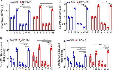 Intracellular Calcium Profiling A Intracellular Ca²⁺ Levels Measured