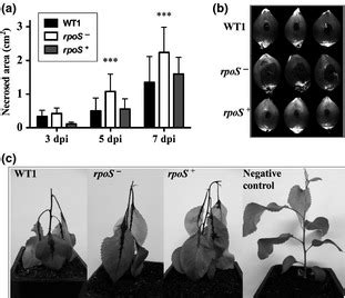 Evaluation of the Erwinia amylovora virulence in immature fruits (a, b ...