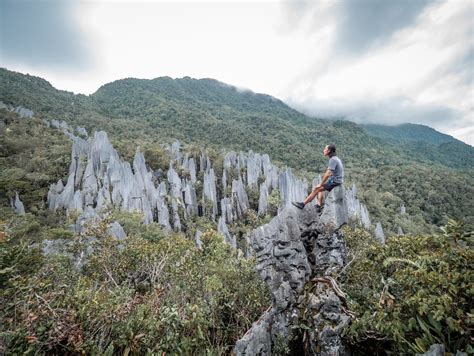 Wonders Of Sarawak – Sarawak Tourism Hornbill Trail Newsletter