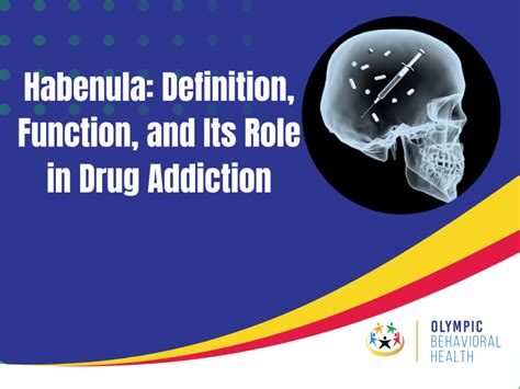 Habenula: Definition, Function, and Its Role in Drug Addiction - Olympic Behavioral Health