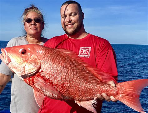 Best Red Snapper Bait Secret Weapon