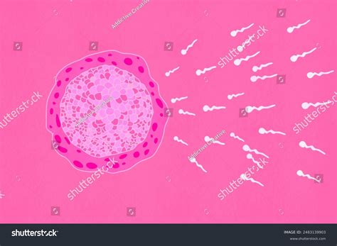 Vibrant Digital Illustration Featuring Human Egg Stock Illustration
