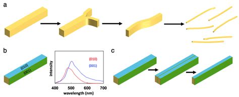 Elastic Organic Crystals Of Conjugated Molecules New Concept For