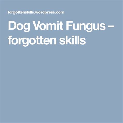 Dog Vomit Fungus | Fungi, Vomit, Dogs