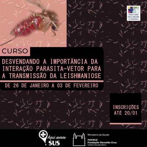 Inscri Es Abertas Para Curso Sobre Impacto Da Intera O Parasita Vetor