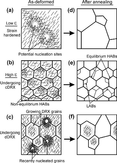 Schematic Representations Of The Three Types Of As Deformed Download Scientific Diagram