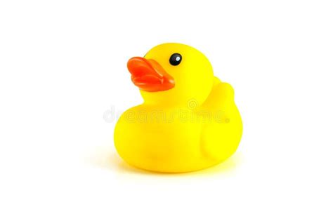 Yellow Rubber Duck Isolated On White Background Stock Image Image Of