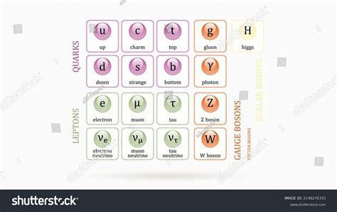 Higgs Boson Standard Model