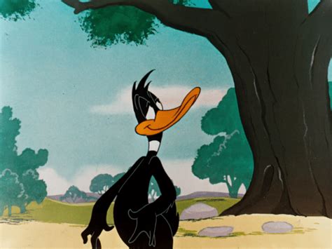 Daffy Duck – Angry Image - DesiComments.com