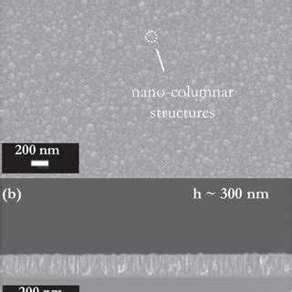 SEM Images Of GLAD Films On SiO2 Si Substrates A Top View Image Of