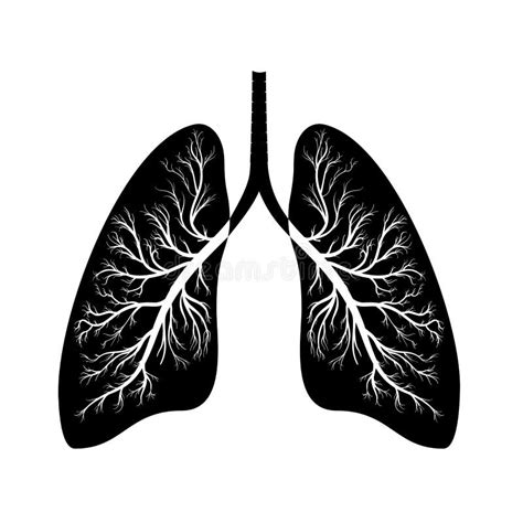 Lungs Icon Illustration Stock Vector Illustration Of Chest 136960847