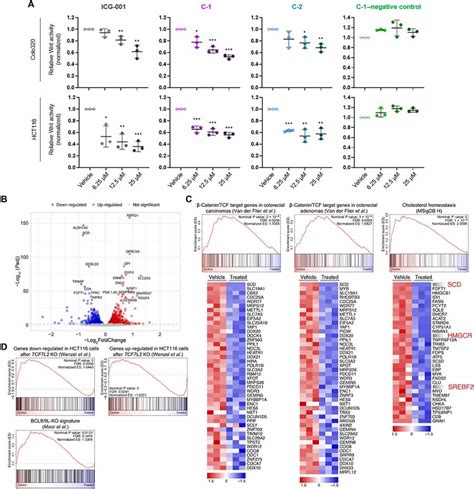 Wnt Activity And Wnt Catenin Gene Signatures In Response To Lead Download Scientific Diagram