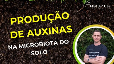 Auxinas Na Microbiota Do Solo Micro Organismos Promotores De