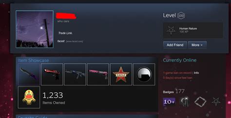 Steam level 100 - 170€ GAMEBANNED - "Who Cars" he said : r/VAC_Porn