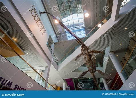 Interior View of the Denver Museum of Nature and Science Editorial ...