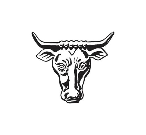 Steer Drawing By Csa Images Fine Art America
