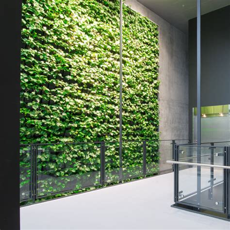 Stabilisierte Wandbegrünung UNIVERSITY Natural Greenwalls lebende