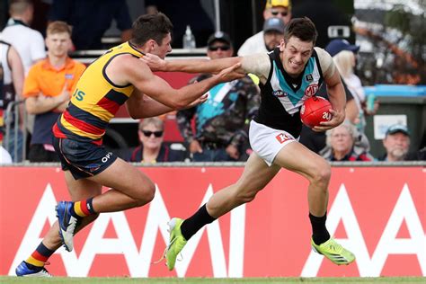 2023 Afl Round 24 Preview Port Adelaide V Richmond Racing And Sports