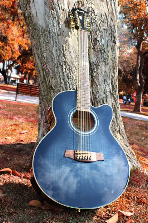images tree fall acoustic guitar autumn park blue musical