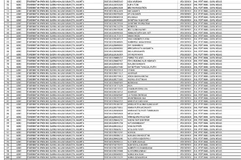 KOMPLIT Daftar Nama Honorer Se Indonesia Yang Akan Diangkat Jadi ASN