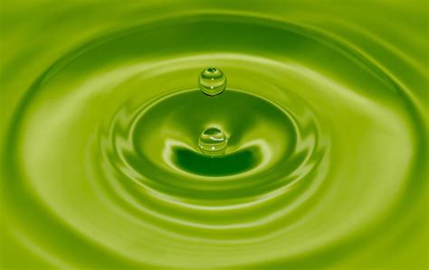 Free Picture Droplet Abstract Rain Wet Liquid Bubble Green