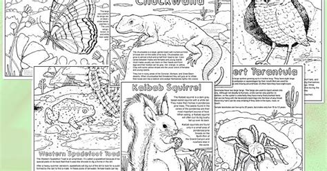 Carefree Artist More Sonoran Desert And Colorado Plateau Coloring Pages