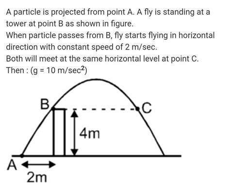 A Particle Is Projected From Point A A Fly Is Standing At A Tower At