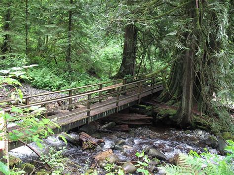 Hayward Lake Hiking Near Mission Bc Vancouver Trails