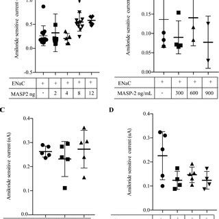 Effect Of Co Expression Of MASP 2 And ENaC On Current In Xenopus