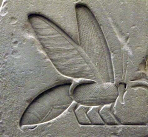 Egyptian Hieroglyphs The Language Of The Gods Bee Keeping Ancient