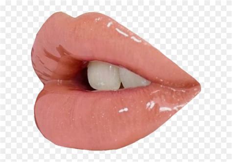 Png Transparent Lip Transparent Lip Png Lips - Glossy Lips Aesthetic ...