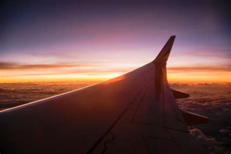 Free Images Horizon Wing Cloud Sky Sunrise Sunset Sunlight