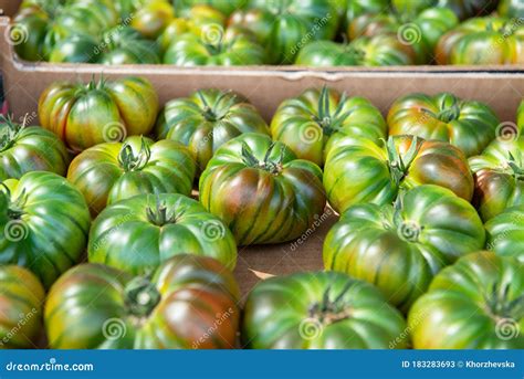 Pomodori Freschi Greggi Venduti All Aperto Frutta E Ortaggi