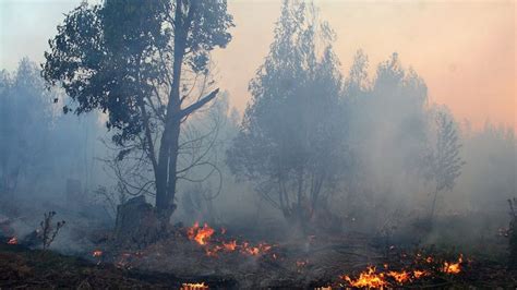 Uruguay Presenta Riesgo Muy Alto De Incendios Forestales Seg N Inumet