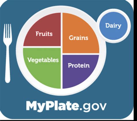 Nutrition And Drugs Test 1 Flashcards Quizlet